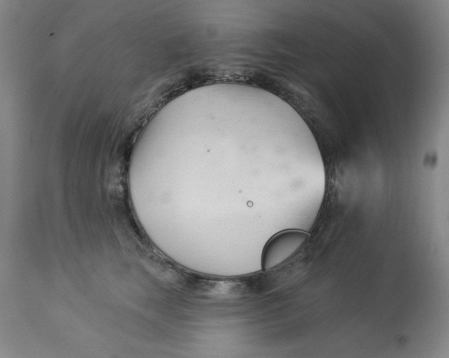 X0000113130663200909251241