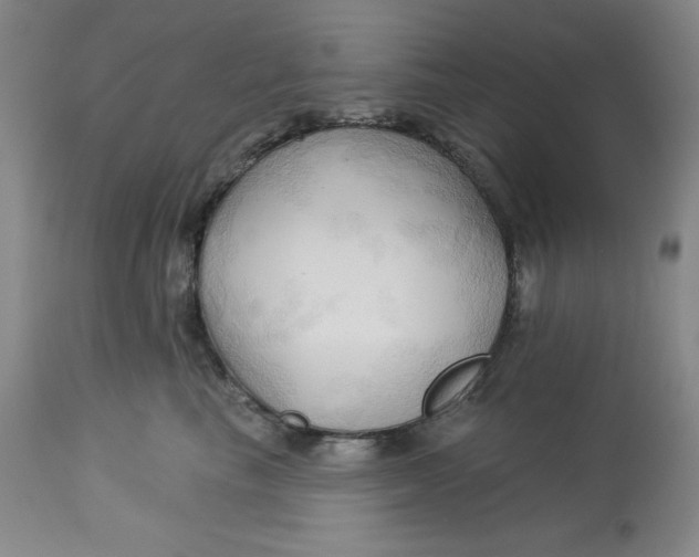 X0000113130665200909251241