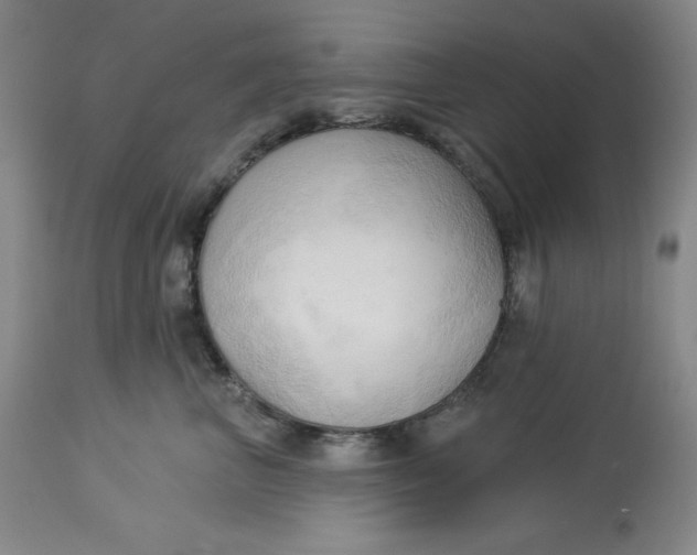 X0000113130667200909251241