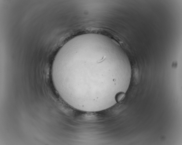 X0000113130668200909251241