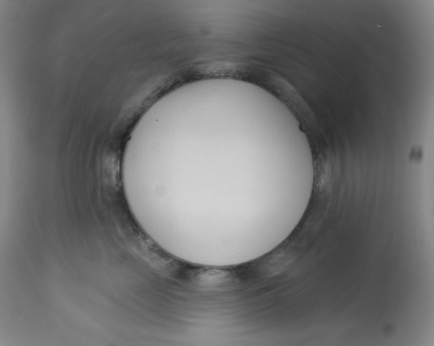 X0000113130669200909251241