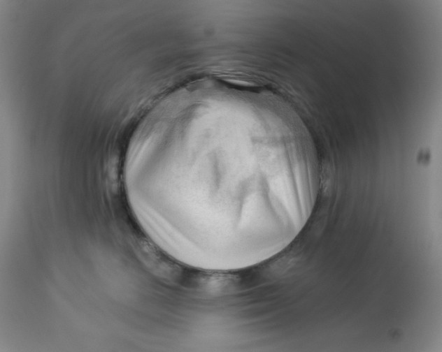 X0000113130670200909251241