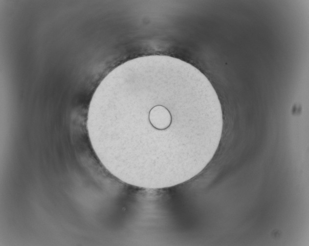 X0000113130672200909251241