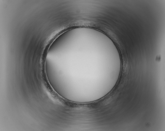 X0000113130674200909251240