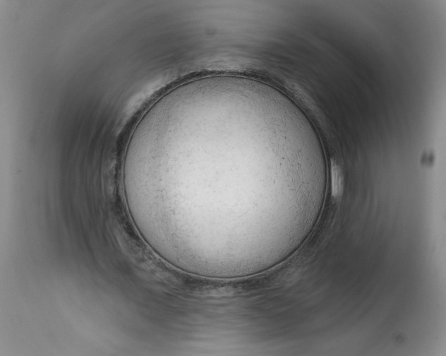 X0000113130675200909251240