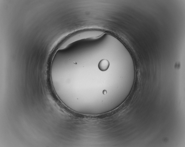 X0000113130676200909251240