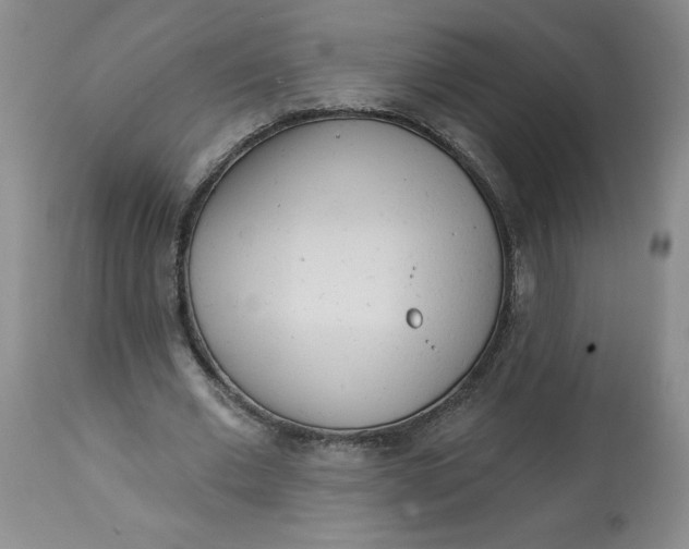 X0000113130677200909251240