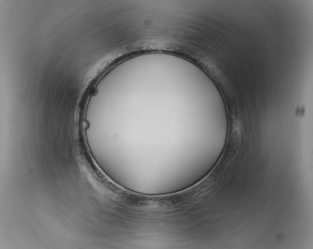 X0000113130678200909251240