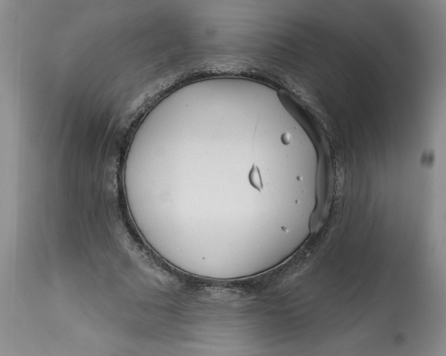 X0000113130681200909251240