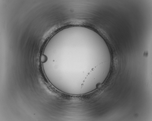 X0000113130682200909251240