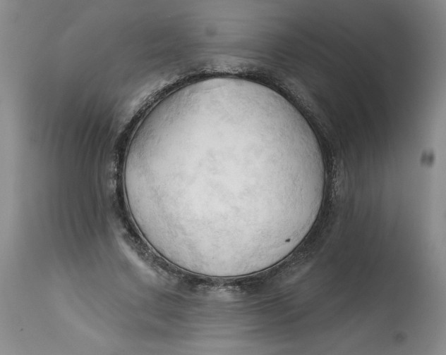 X0000113130683200909251240