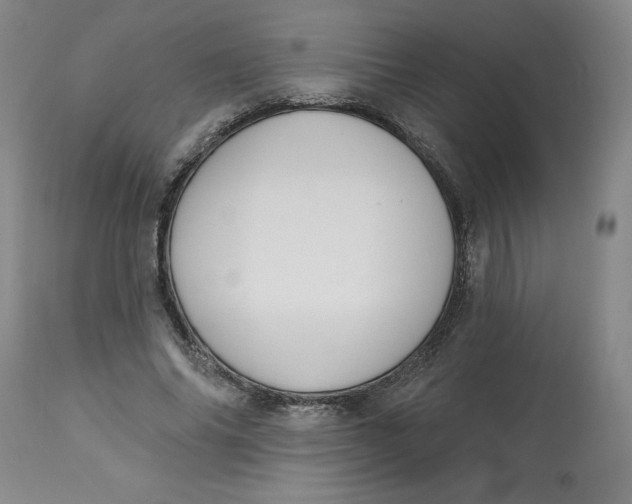 X0000113130686200909251240