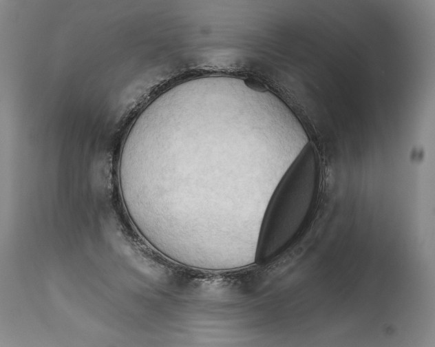 X0000113130688200909251240