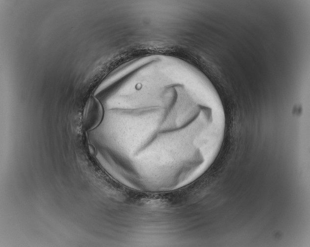 X0000113130689200909251240