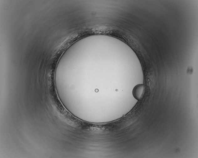 X0000113130690200909251240