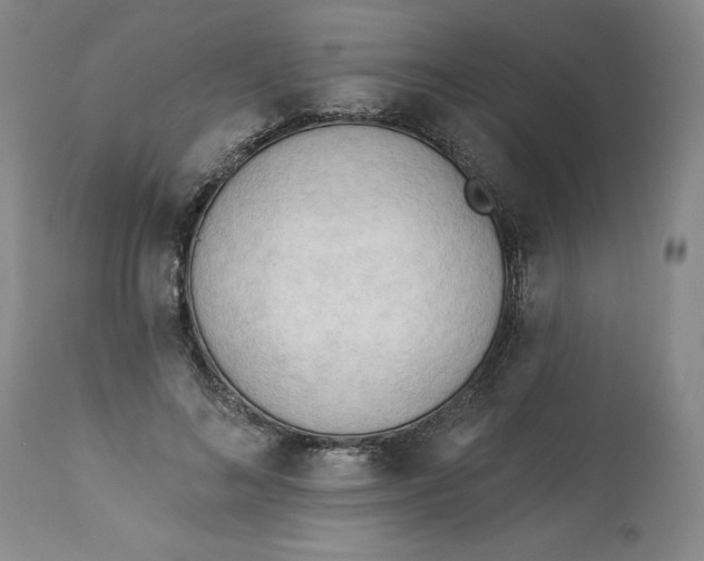 X0000113130692200909251240