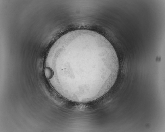 X0000113130695200909251240