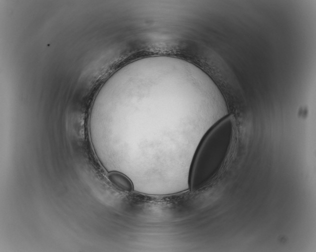 X0000113130696200909251240