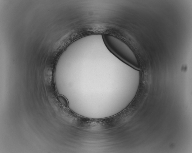 X0000113130697200909251240