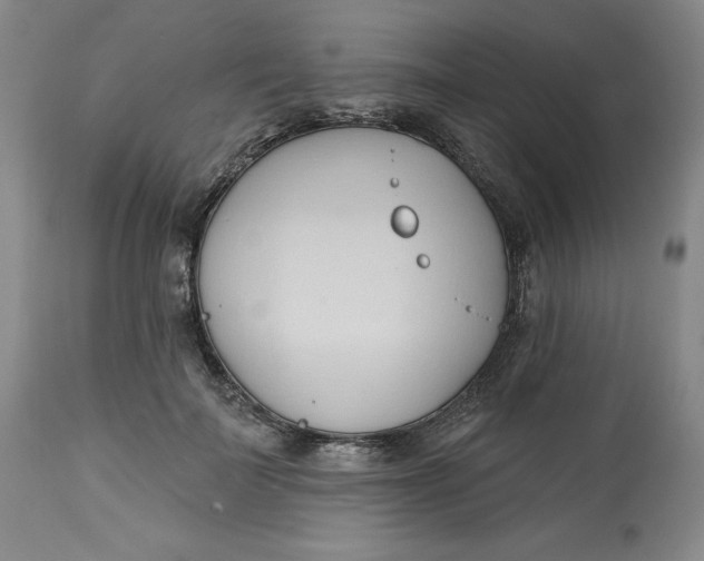 X0000113130699200909251240