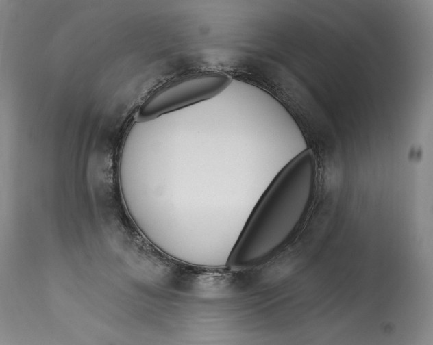 X0000113130700200909251240