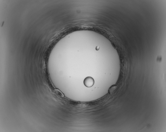 X0000113130704200909251240