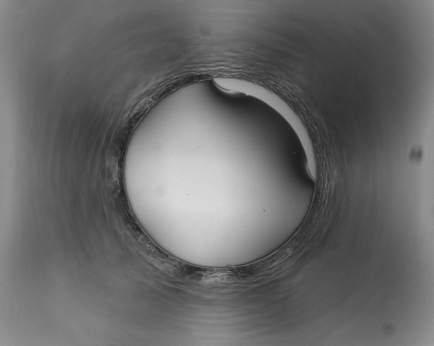 X0000113130705200909251240