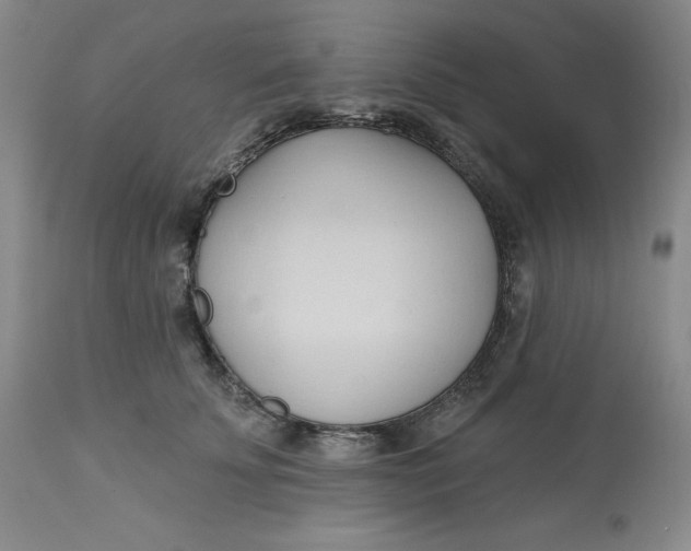 X0000113130707200909251240