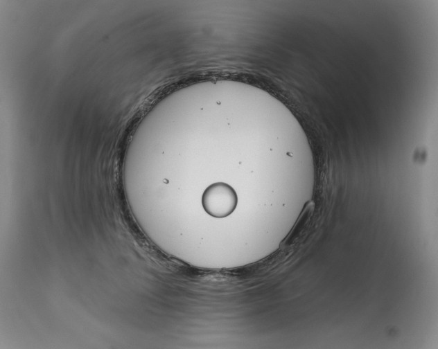 X0000113130708200909251240