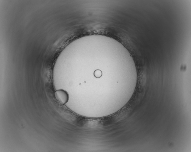 X0000113130709200909251240