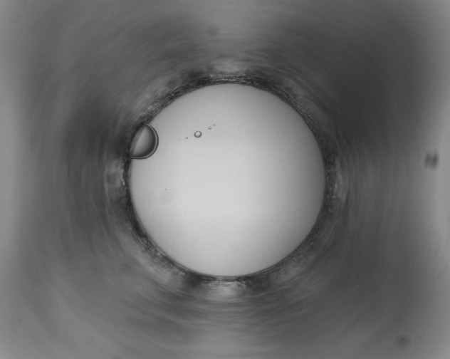 X0000113130711200909251240