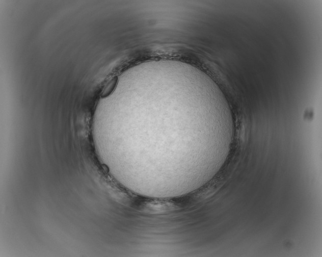 X0000113130712200909251240