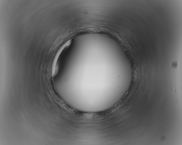 X0000113130713200909251240