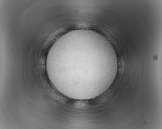 X0000113130714200909251240