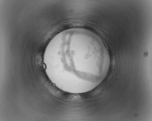 X0000113130715200909251240