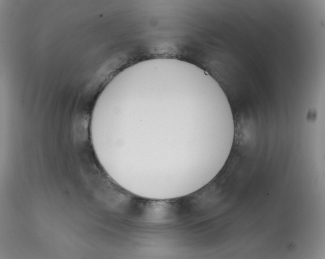 X0000113130717200909251240