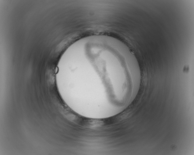 X0000113130719200909251240