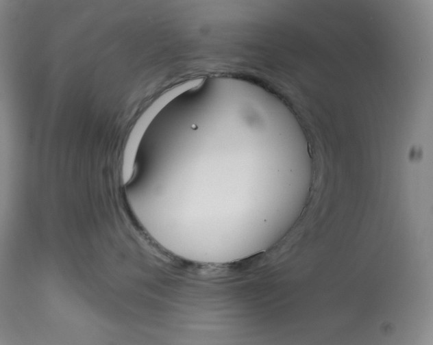 X0000113130720200909251240