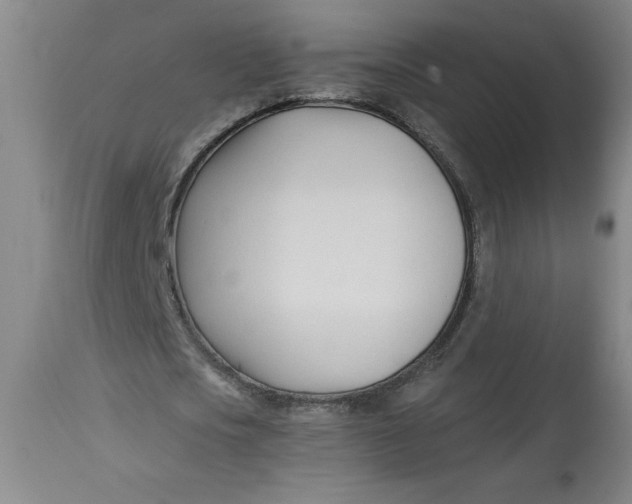 X0000113130721200909251239