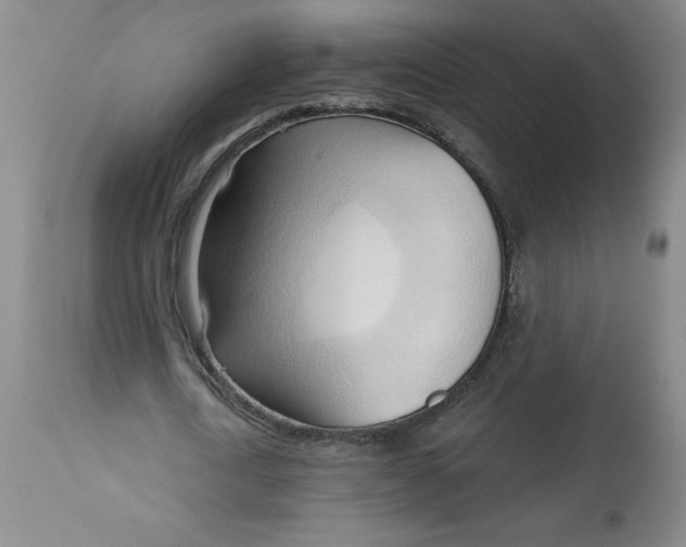 X0000113130722200909251239