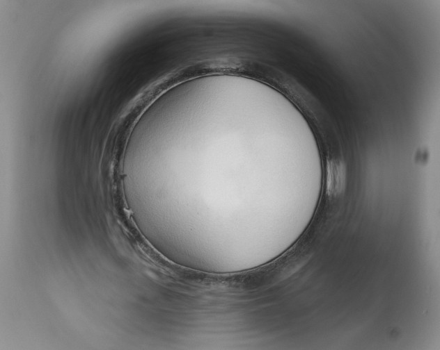 X0000113130723200909251239