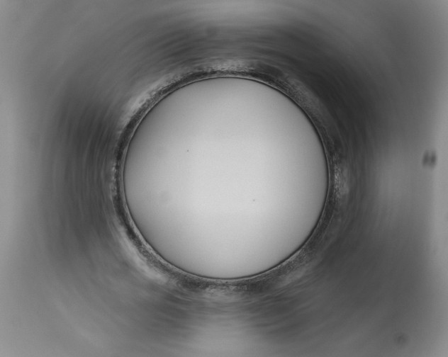 X0000113130725200909251239