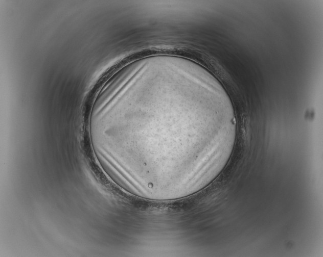 X0000113130728200909251239