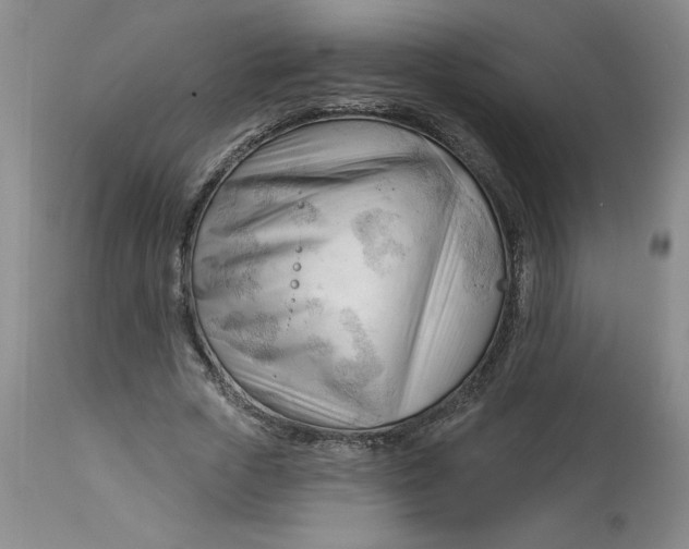 X0000113130729200909251239