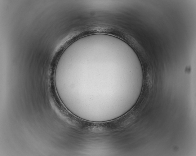 X0000113130730200909251239