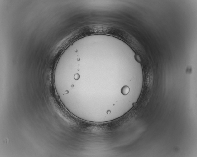 X0000113130733200909251239