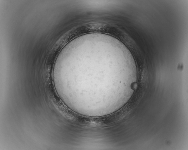 X0000113130737200909251239