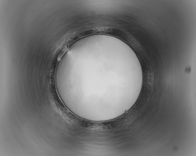 X0000113130738200909251239