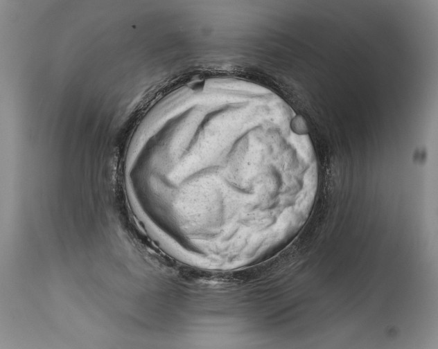 X0000113130739200909251239