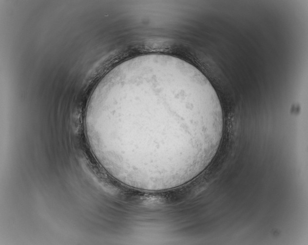 X0000113130741200909251239